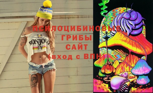 скорость Баксан