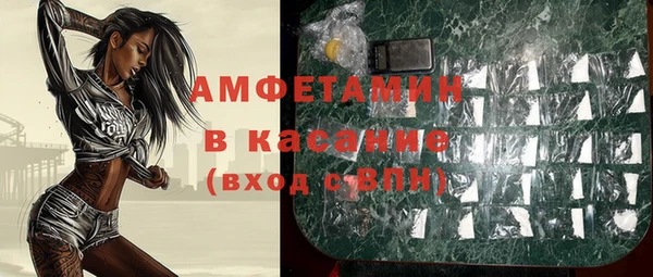 прущие грибы Балахна