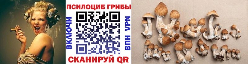 Галлюциногенные грибы мицелий  цена   блэк спрут ONION  Корсаков 